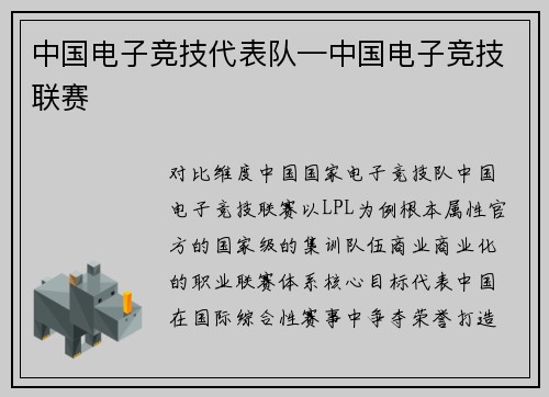 中国电子竞技代表队—中国电子竞技联赛